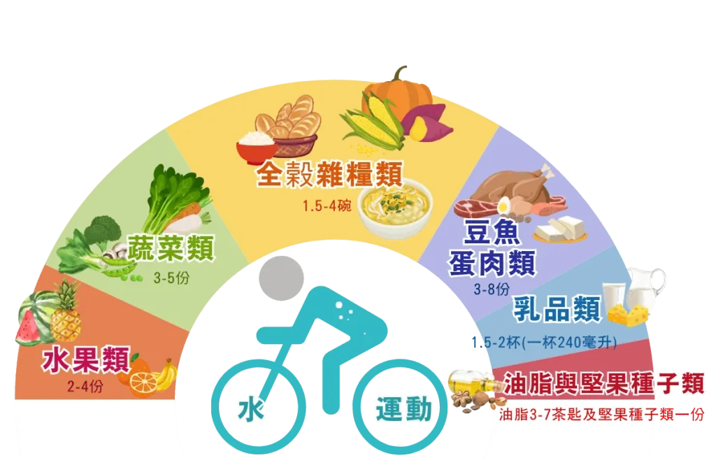 營養素的重要性 - 身體需要的六種關鍵營養素圖表