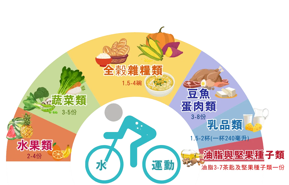飲食分配表與健康生活方式建議 營養素的重要性 - 身體需要的六種關鍵營養素圖表
