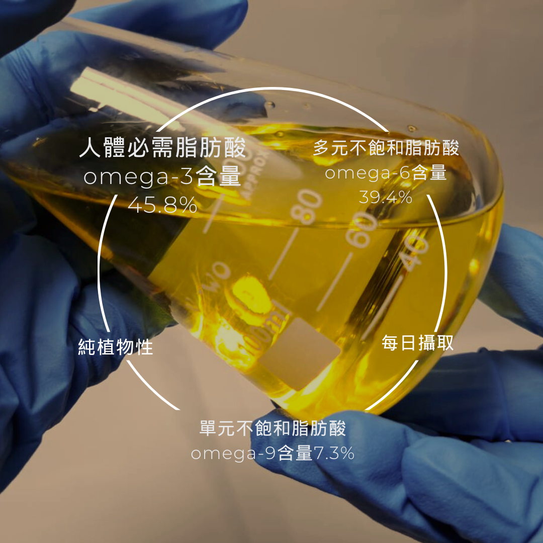 純化Omega-3油脂含量檢測：omega-3含量45.8%，omega-6含量39.4%，omega-9含量7.3%，純植物性每日攝取